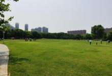 泰丰公园9