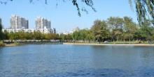 泰丰公园23