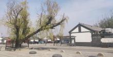 小辛码头村1