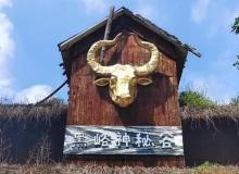 黑峪神秘谷1