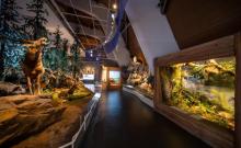 航海发现之旅展厅2