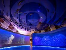 航海发现之旅展厅7