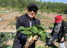 一亩三分地亲子农场19