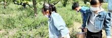 一亩三分地亲子农场9