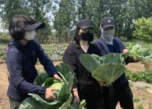 一亩三分地亲子农场29