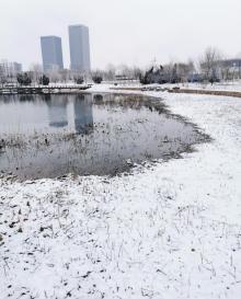 梅江公园15