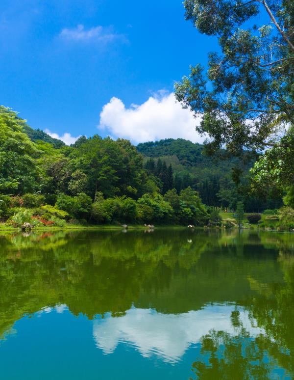 仙湖植物园