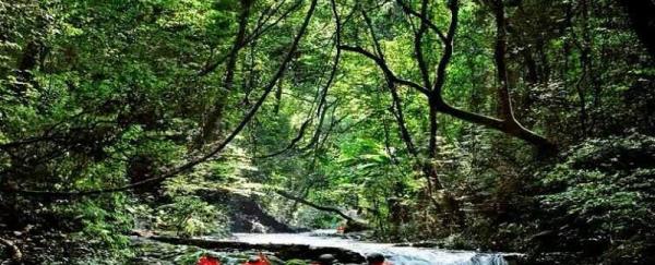 九连山新河漂流
