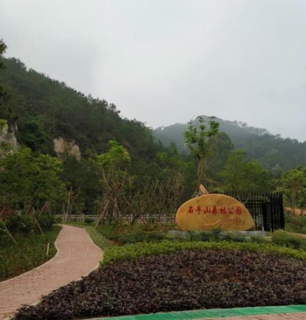 罗定市石牛山森林公园