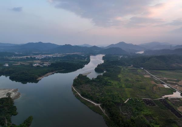 凤河晚渡桃花源艺术村