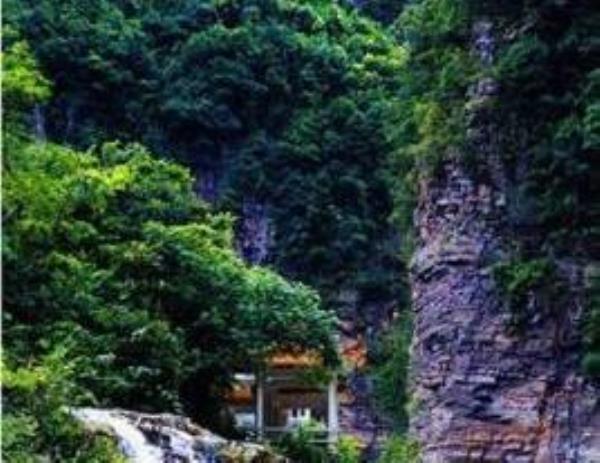 黑石顶自然保护区
