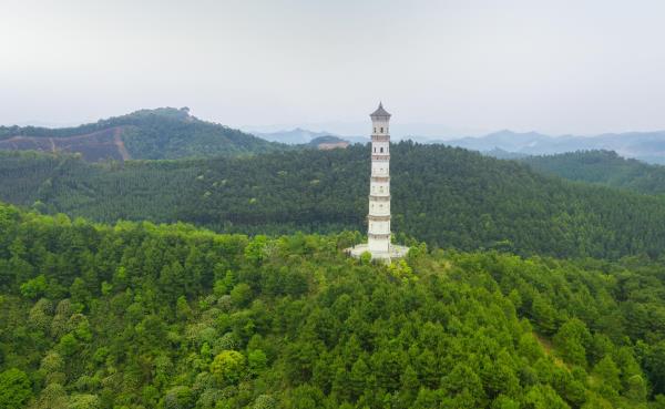 炳蔚塔