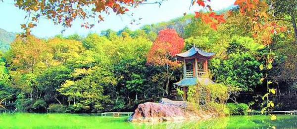 野趣沟