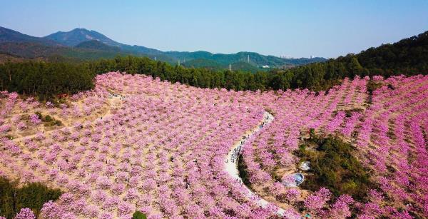 绿美生态园