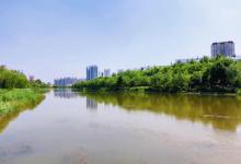海河故道公园12