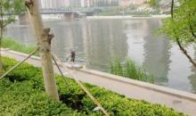 海河故道公园6