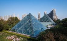 泰达热带植物园1