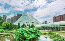 泰达热带植物园2