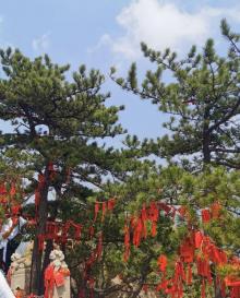 挂月峰13
