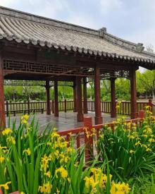 津北森林公园6