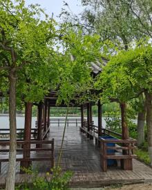 津北森林公园5