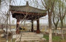 津北森林公园11