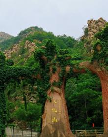 八仙山1