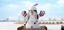 武清南湖冰雪世界4