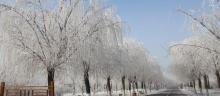 武清南湖冰雪世界12