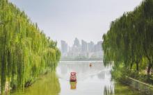 南翠屏公园5