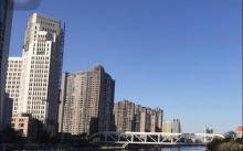 海河公园3