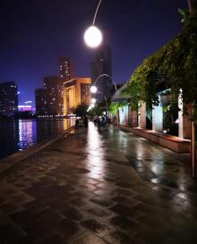 海河公园7