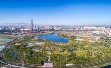 天津水西公园3
