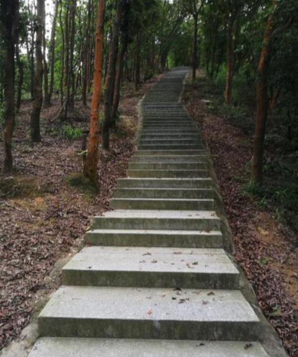 北台森林公园