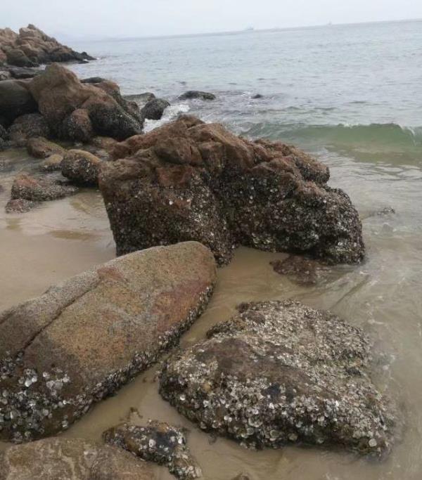 阳光沙滩生态园