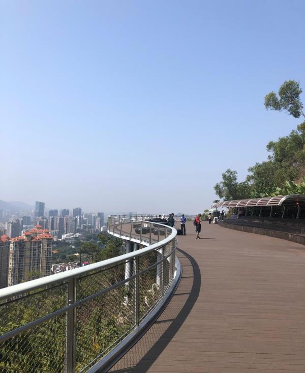 板樟山森林公园-观景台