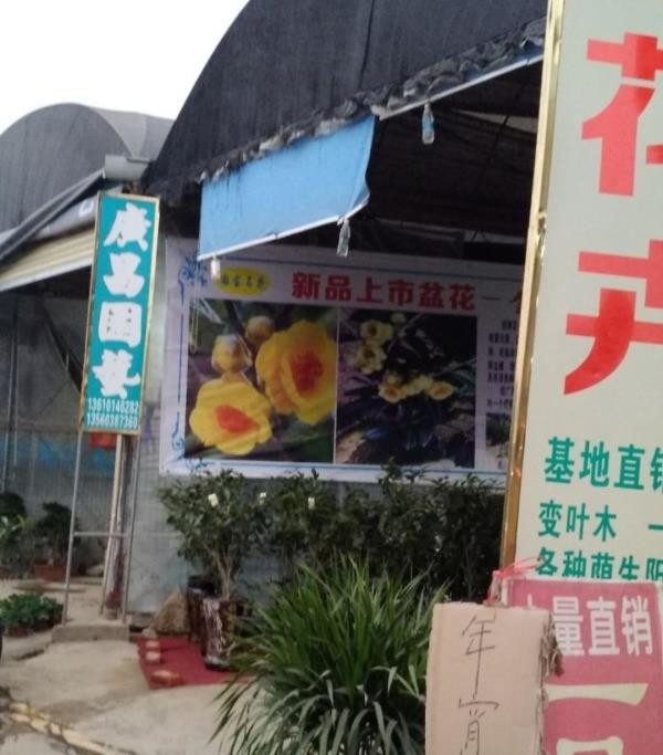 广昌园艺