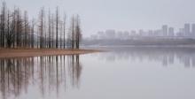 东丽湖1