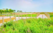 东疆建设开发纪念公园2