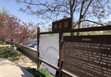 桃花堤公园8