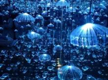 天津独角兽星空艺术馆8