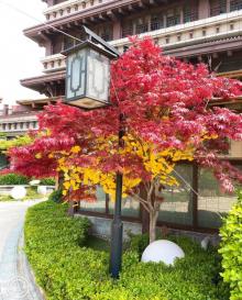 东丽湖恒大酒店温泉中心12