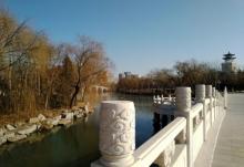 天津水上公园12