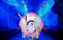 天津海昌极地海洋公园10