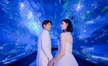 天津海昌极地海洋公园25