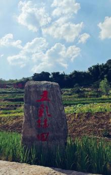 五彩梯田8