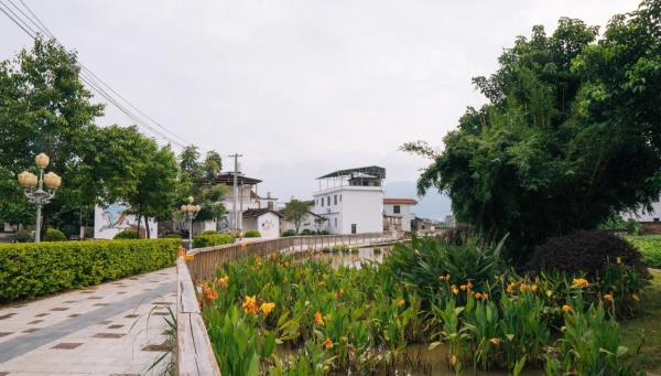 白马村上合花海