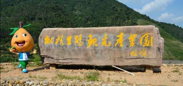 枇杷生态观光产业园