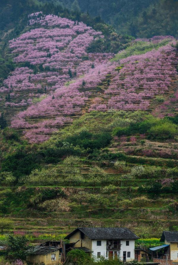 九峰镇