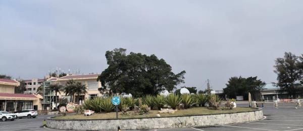 龙虎滩旅游度假区